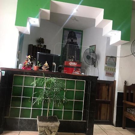 Green Monkey Hostel Flores Esterno foto