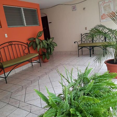Green Monkey Hostel Flores Esterno foto