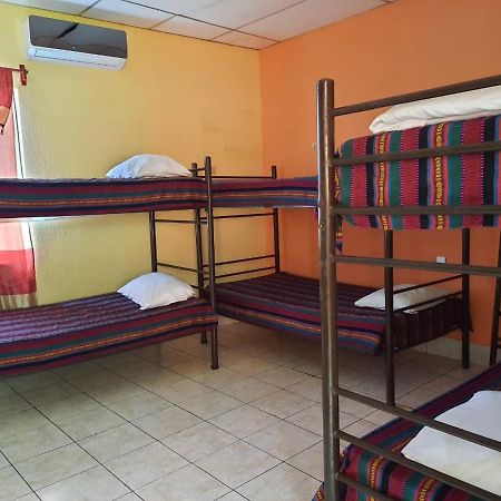 Green Monkey Hostel Flores Esterno foto