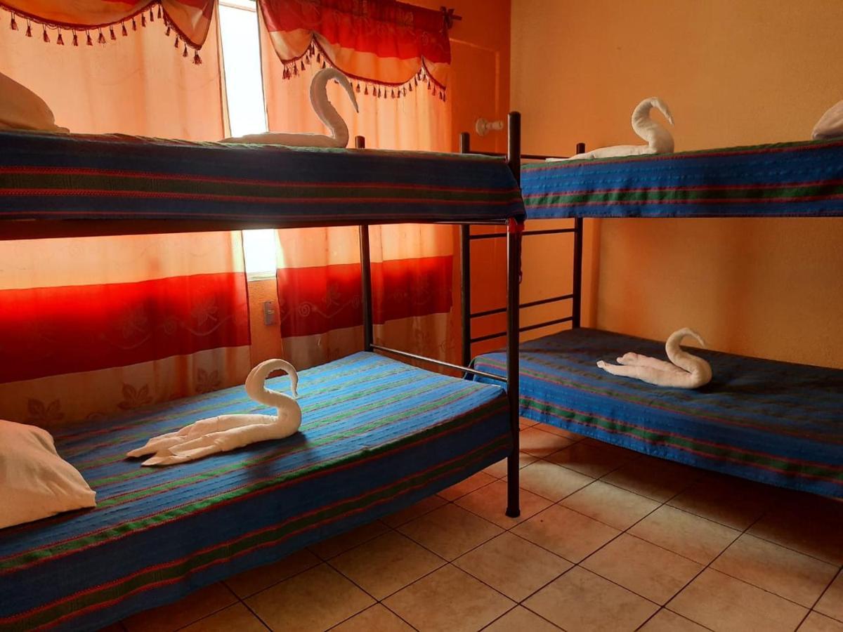 Green Monkey Hostel Flores Esterno foto