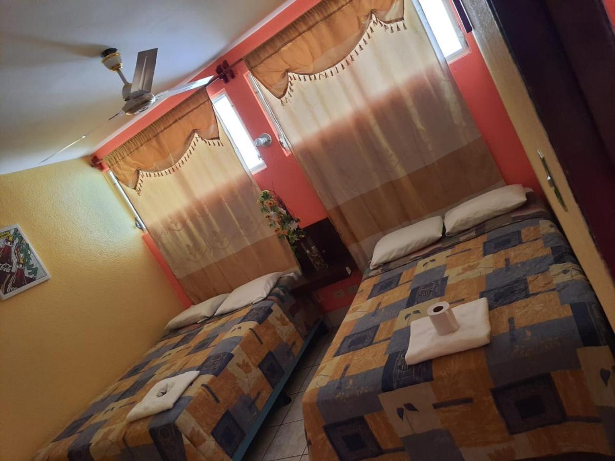 Green Monkey Hostel Flores Esterno foto