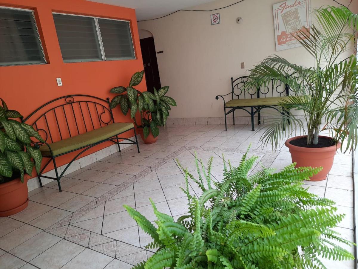 Green Monkey Hostel Flores Esterno foto
